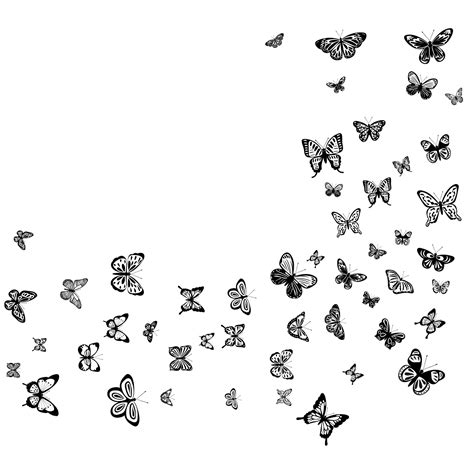 Silhouette De Papillons Volants Sur Fond Blanc Vecteur Isolé Vecteur