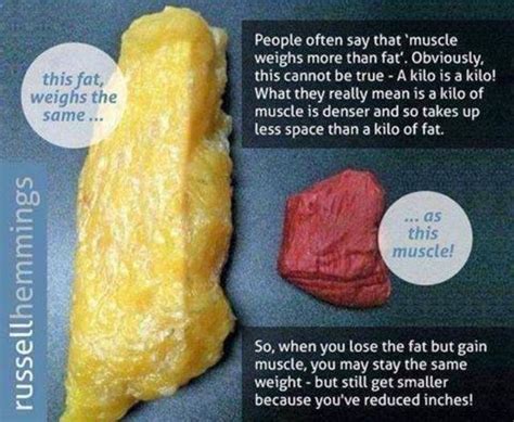 One Pound Of Fat Vs One Pound Of Muscle Fitness Motivation