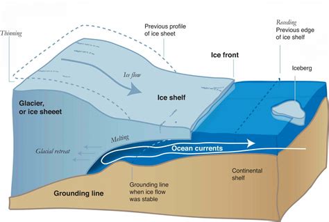 Antarctic Ice And Rising Sea Levels Antarctic And Southern Ocean