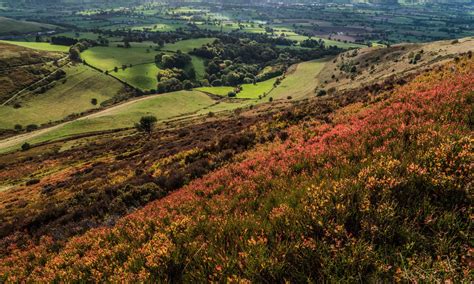 The 8 Most Picturesque Landscapes In Wales Wanderlust