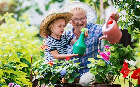 Bellevue Pt Offers Back And Joint Friendly Gardening Tips For Seniors