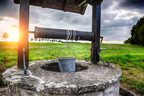 The frog in the well. How Much Does It Cost To Dig A Well? Preparing For The ...