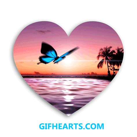 Butterfly Sunset Beach  Hearts By Butterflyfashion On Deviantart