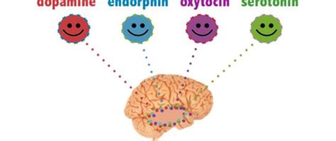 Cómo Funciona El Cerebro De Los Adolescentes Equipoeduca