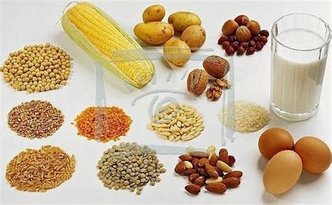 We did not find results for: Pantangan Makanan Penyakit Radang Paru-Paru | Pantangan ...