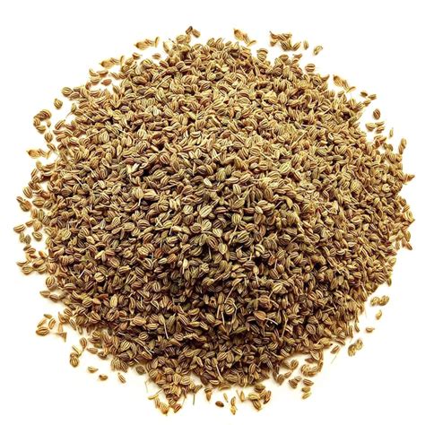 Celery Seeds Buy In Bulk From Food To Live