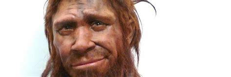 Humans Started Having Sex With Neanderthals Over 100 000 Years Ago Ars Technica