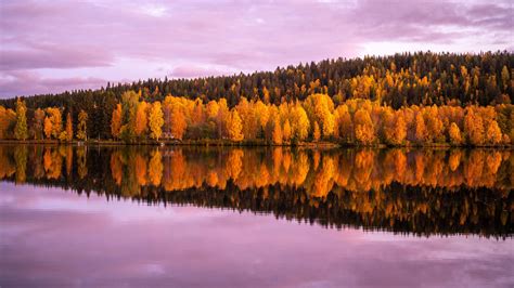 Download Wallpaper 3840x2160 Forest Trees Lake Reflection Autumn