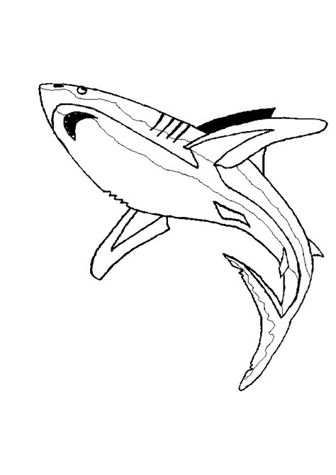 Dettagli squalo scarica i disegni dello squalo bianco mentre nuota nel mare o nell'oceano. Squalo, Disegni per bambini da colorare