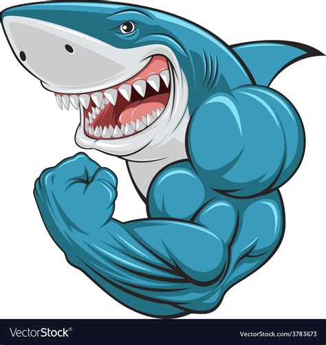 White Shark Royalty Free Vector Image Vectorstock