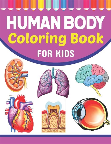Buy Human Body Coloring Book For Kids Learn The Human Anatomy With Fun