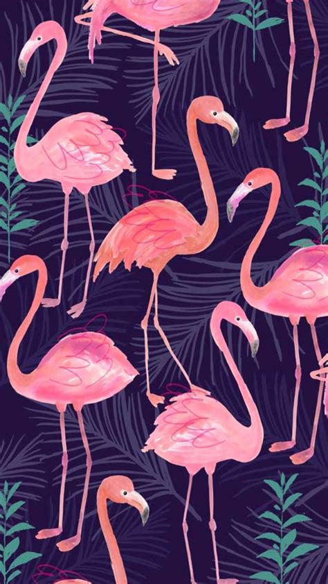 Flamingos Flamingo Wallpaper Flamingo Art Print Wallpaper Screen