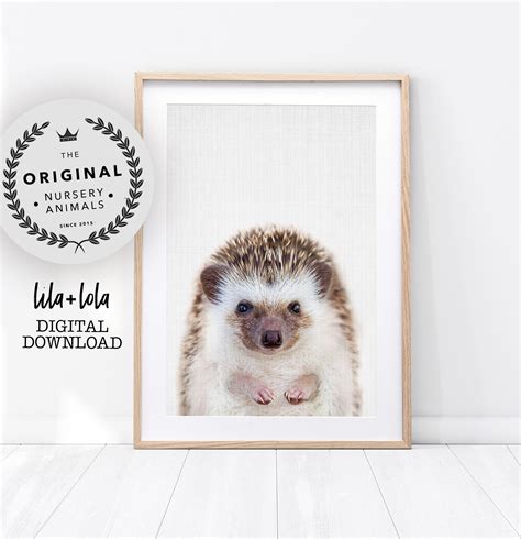 Hedgehog Animal Nursery Art Print Babies And Kids Cute Illustrated