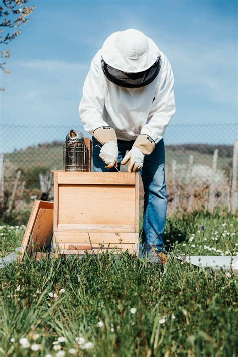 Useful Tips For Commercial Beekeepers