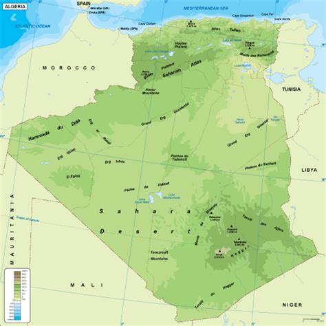 Algeria Physical Map EPS Illustrator Map Digital Maps Netmaps UK