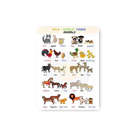 Photojaanic Posters For Kids Learning Charts For Kids Learning