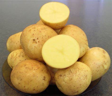 Отзывы диеты картофель Картофель Гала – описание сорта, фото, отзывы и характеристика Картофель Гала – описание сорта, фото, отзывы и характеристика Отзывы диеты картофель