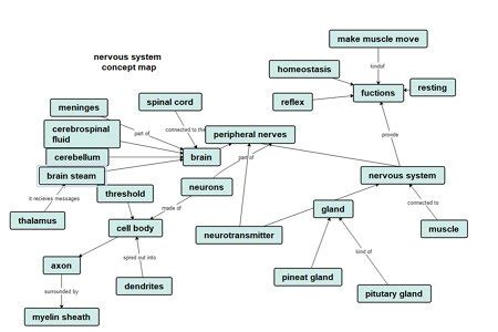 Map Of Nervous System Nervous System Concept Map Integumentary System