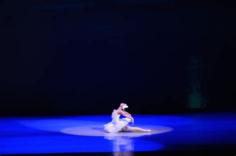 winged ballets the dying swan — ballet manila archives