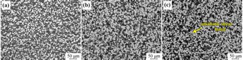 Microstructure Of Dm Sample At Different Strain Rates A 1000 S −1