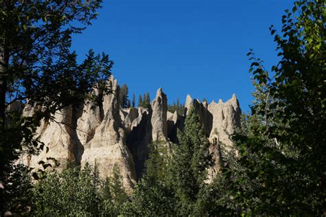 5 Birdwatching Hot Spots In The Columbia Valley Radium Hot Springs Bc