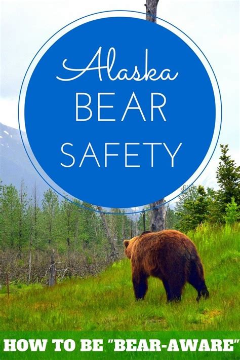 Alaska Travel Essentials Bear Safety How To Be Bear Aware Bear