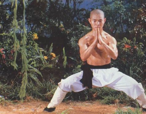 In 1982 Wushu Champion Jet Lee Appeared In The Film Shaolin Temple