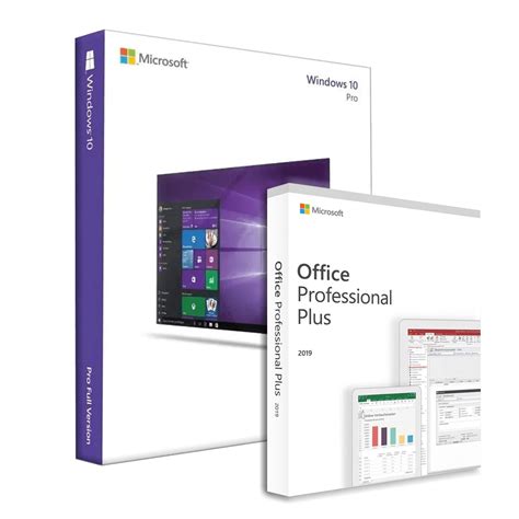 Microsoft Windows 10 Professional Microsoft Office 2019 Professional