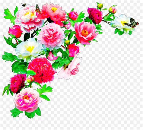 Flower Background Hd Png Myweb