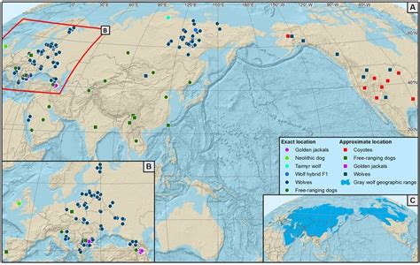 Distribution Of Wild Canids And Free Ranging Dogs Analysed In This