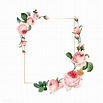 Blank rectangle pink roses frame on white background vector | free ...
