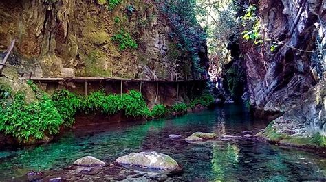 Sierra Gorda La Inmensa Maravilla Natural De Querétaro