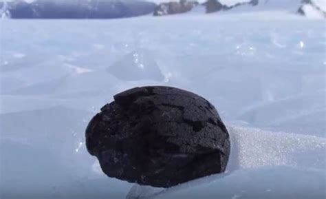 10 Mysterious Things Found Frozen In Antarctica Most Amazed
