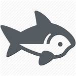 Shark Attack Predator Ocean Fish Sea Icon