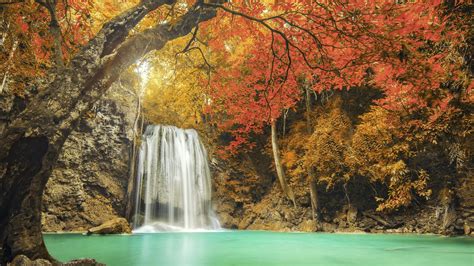 Autumn Forest Waterfall Windows 10 Hd Wallpaper Preview