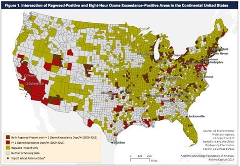 35 Worst Cities And The Worst State For Asthma And Allergy Sufferers Ecowatch