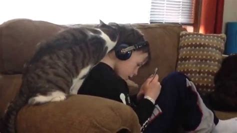 This Kitty Loves Him So Much Youtube
