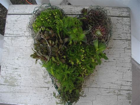 Chicken Wire Planter Made Into Shape Of Heart This Looks