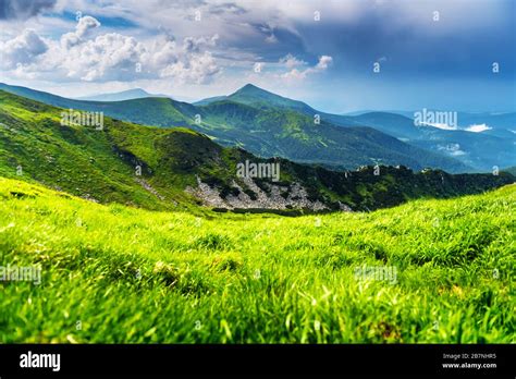 Lush Green Grass Covered Mountains Meadow In Summer Time Soft Sunrise