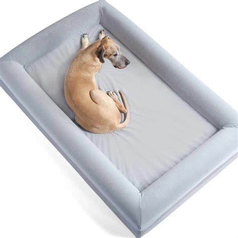 Our Pick Of The Best 10 Waterproof Dog Beds 2021 Ukpets