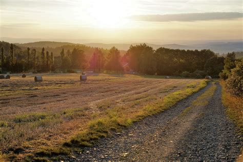 Free Images Landscape Tree Nature Path Grass Horizon Mountain