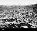 Niemandsland 1914 Stockfoto, Bild: 65977288 - Alamy