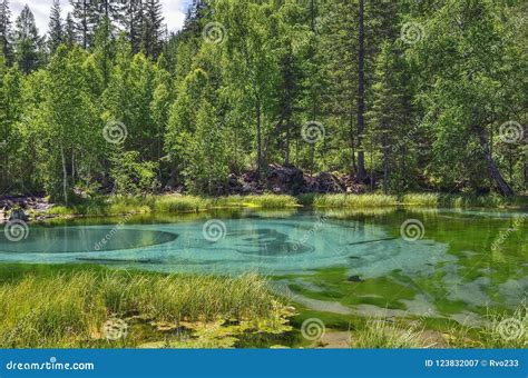 Amazing Blue Geyser Lake In The Mountains Of Altai Russia Stock Image