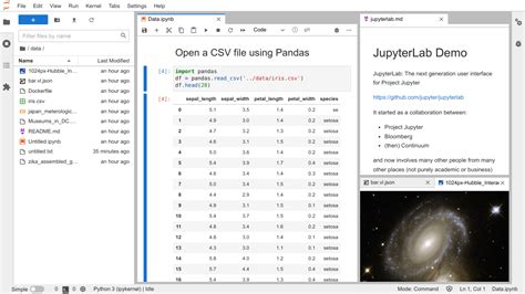 Getting Started With JupyterLab Tutorial Installation Extensions And