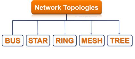 What Is Network Topology Types Of Network Topology The Study Genius