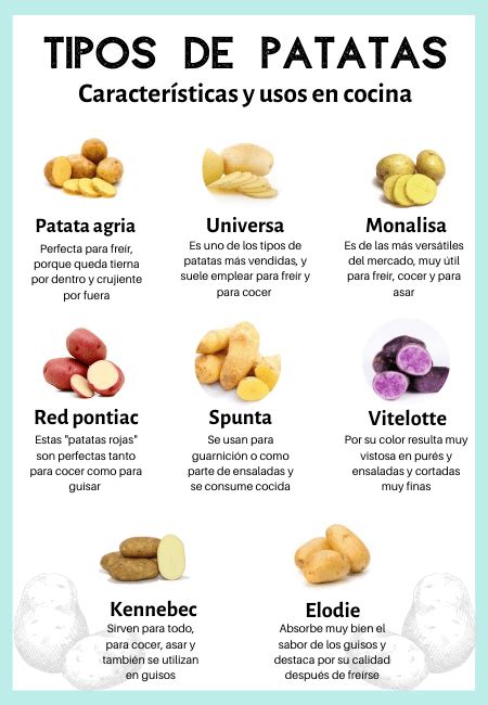 Variedades De Patatas Características Y Usos En Cocina