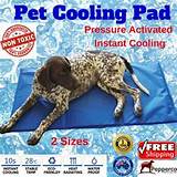 Cooling Beds For Dogs Australia