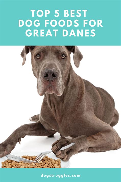 Find great danes puppies & dogs for sale uk at the uk's largest independent free classifieds site. Top 5 Best Dog Foods for Great Danes (With images) | Great ...