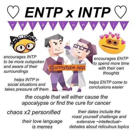 Pin By Alexandra Schlomer On Intp Ennea Entp Intp Personality Intp Relationships