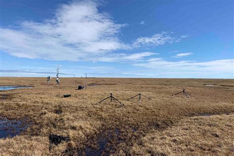 Notes From The Field Spring Greening In The Arctic Tundra